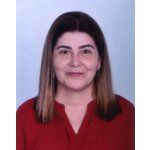 Hülya Saygılı Işık S.M.M.M 