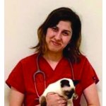 Vitae Veteriner Kliniği